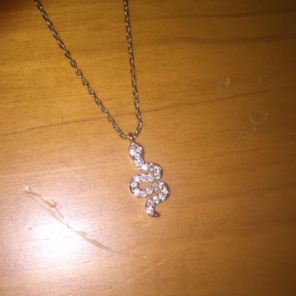 Snake Necklace from Brandy Melville